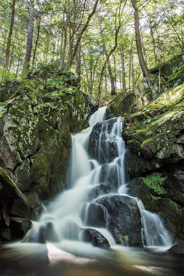 Sanderson Brook Waterfall