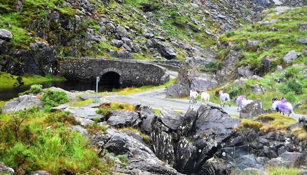 Gap of Dunloe 3