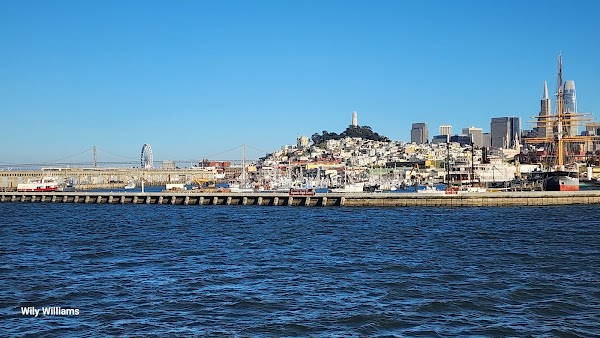 Red and White Fleet San Francisco Bay Cruises 4