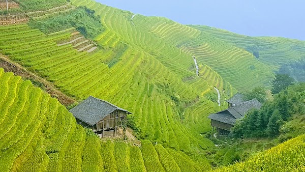 Guilin 3