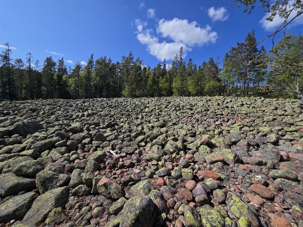 Skuleskogen National Park 2
