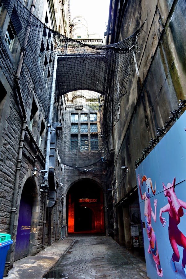 The Bongo Club 3