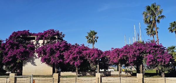 Porto di Cagliari