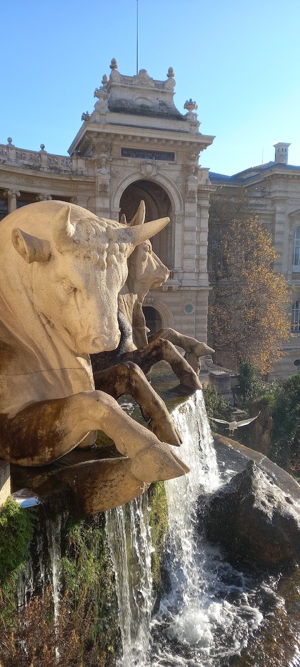 Marseille 3
