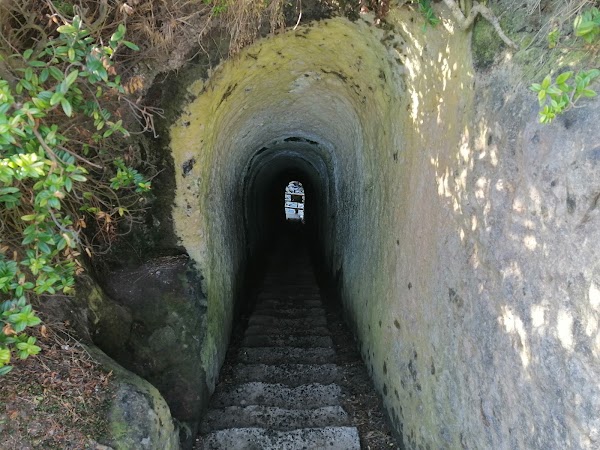 Tunnel Beach 3