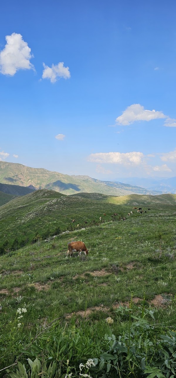 Ovit dağı 5
