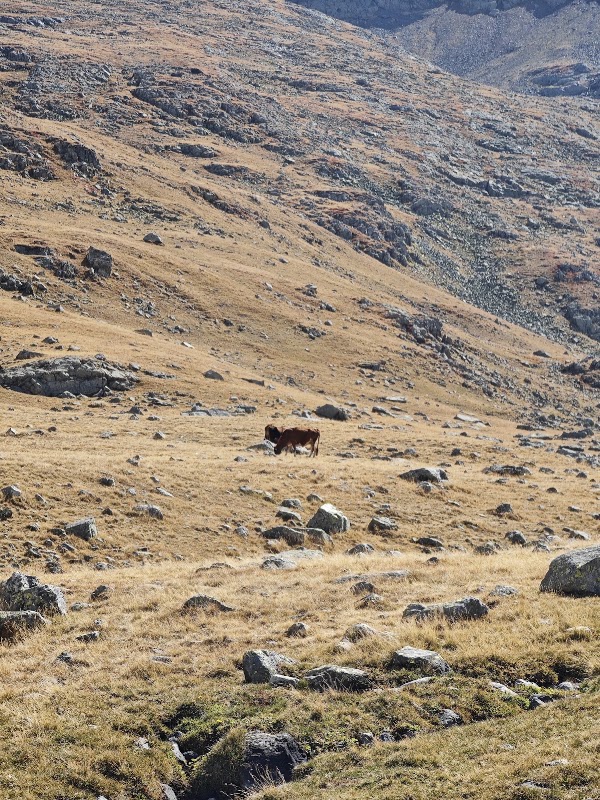 Ovit dağı 3