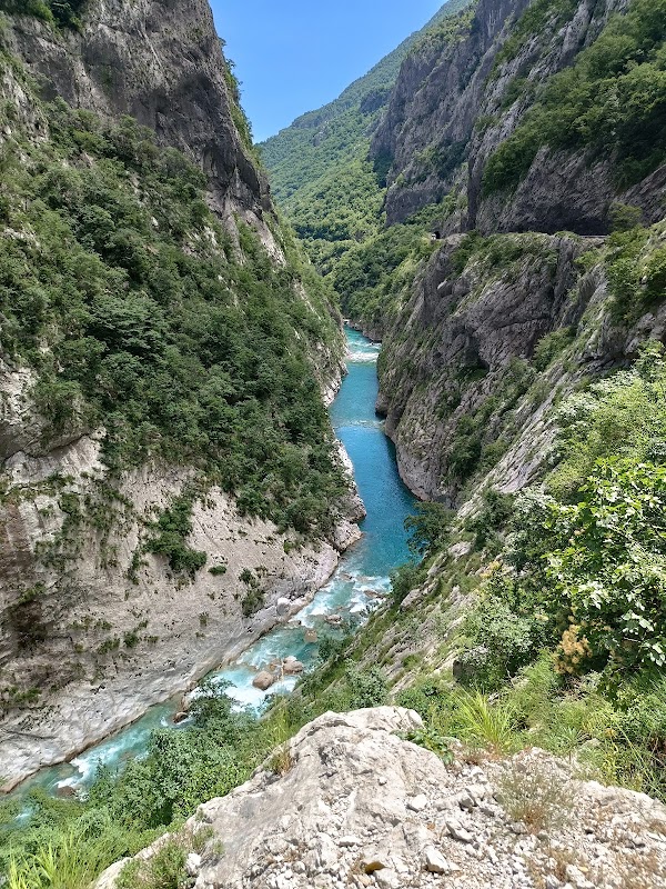 Morača