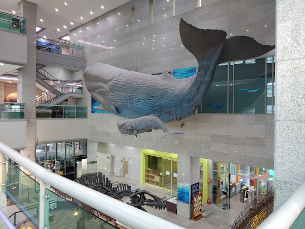 Seodaemun Museum of Natural History 5