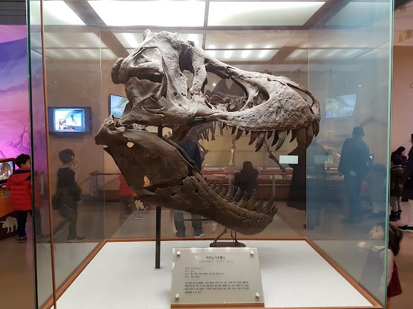 Seodaemun Museum of Natural History 4