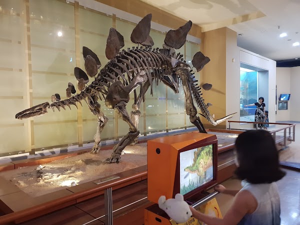 Seodaemun Museum of Natural History 2
