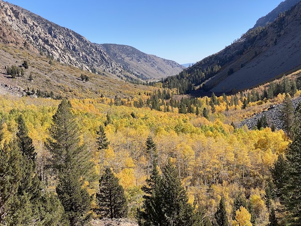 Lundy Canyon Trail Head