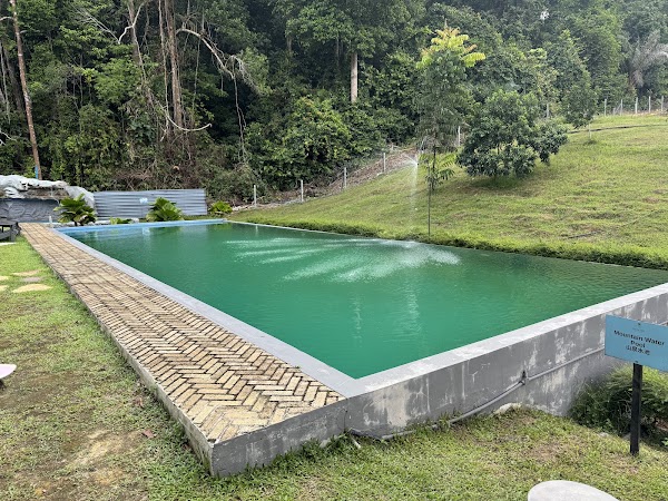 Talula Hill Farm Resort Kluang 4