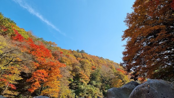 한라산둘레길 천아숲길 1