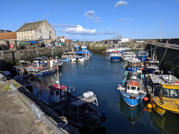 Pittenweem 3