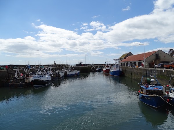 Pittenweem 2