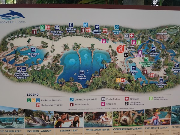 Discovery Cove 5