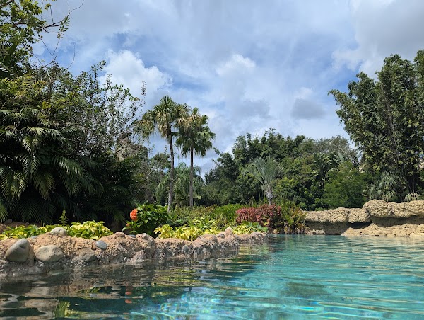 Discovery Cove 4