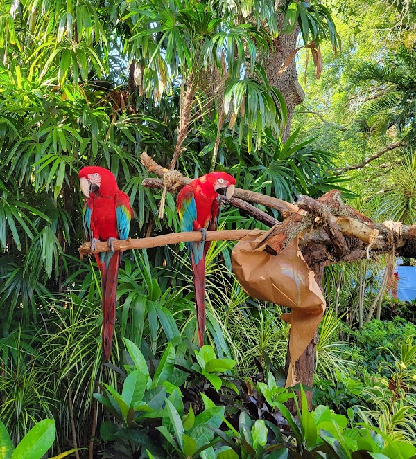 Discovery Cove 2