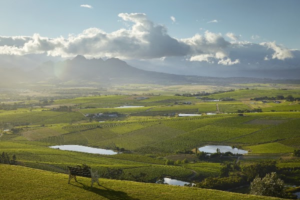 DeMorgenzon Stellenbosch 1