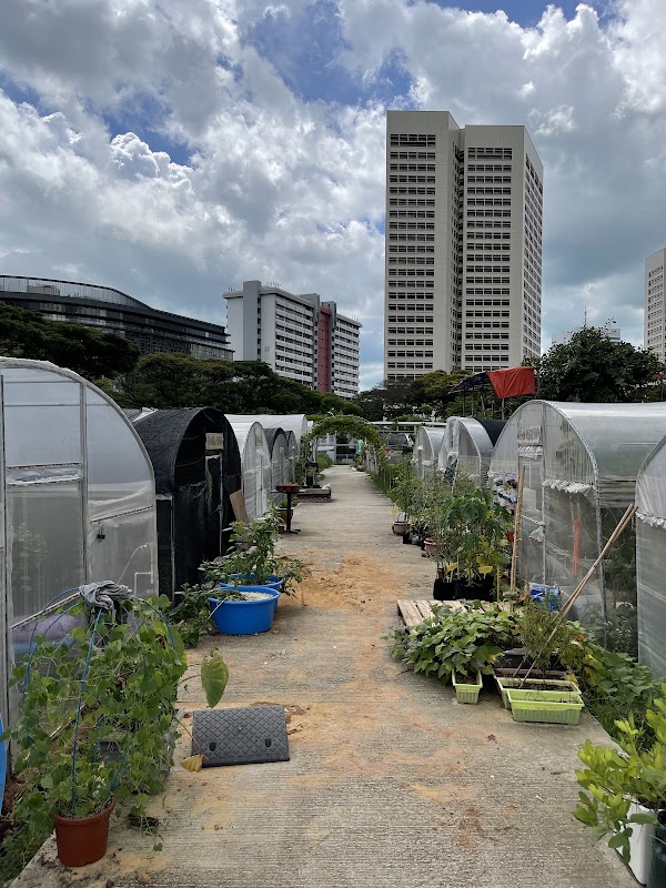 City Sprouts (Henderson) 4