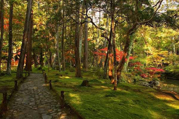 Saiho-ji (Koke-dera) 4