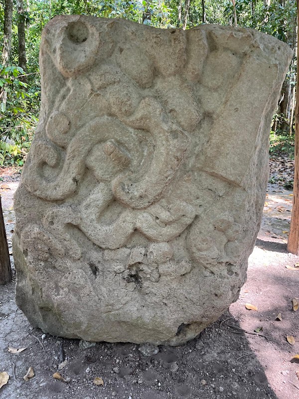 Mirador Basin 2