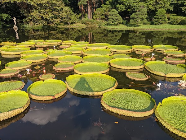 Jindai Botanical Gardens 4