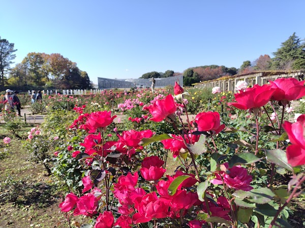 Jindai Botanical Gardens 3