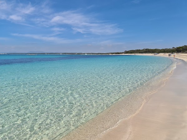 Platja Estanys