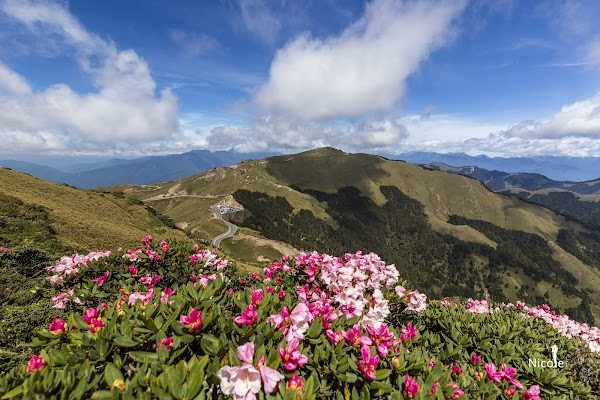 合歡山東峰 5