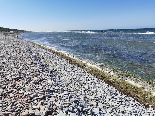 Eksta Coast 1