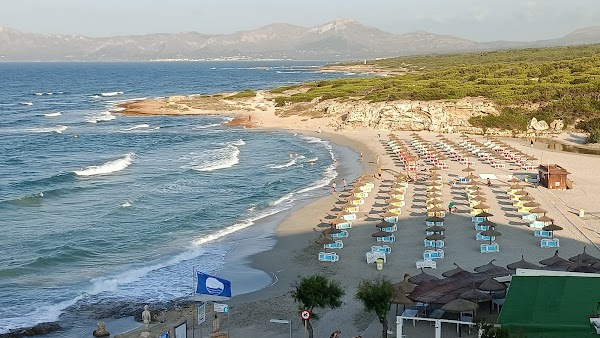 Son Baulo 5