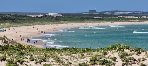 Cronulla 5