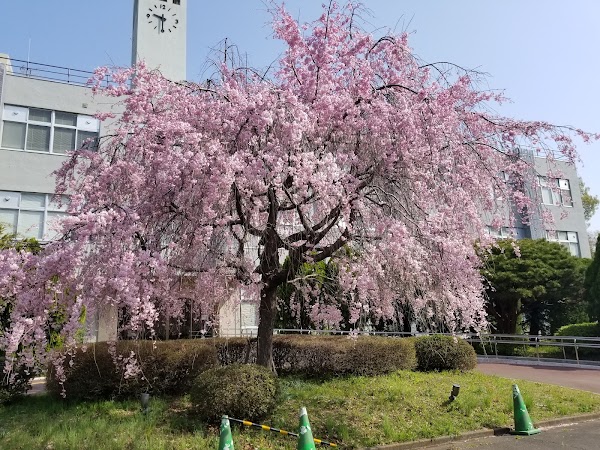 Tokyo Gakugei University