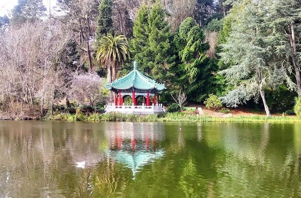 Blue Heron Lake Drive