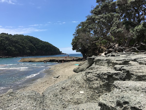 Te Hawere-a-Maki / Goat Island Marine Reserve