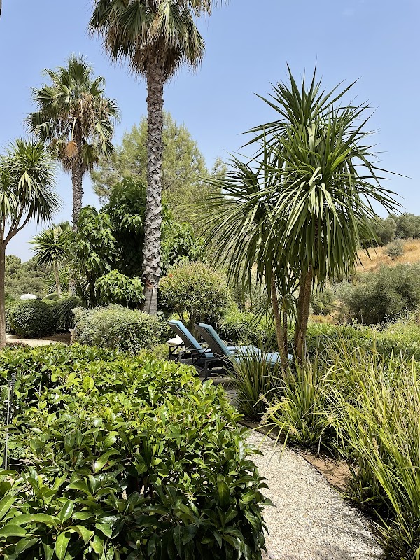 Shanti-Som Wellbeing Retreat 2