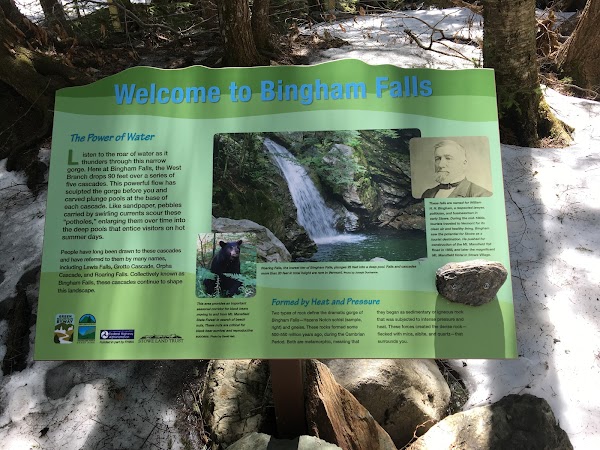 Bingham Falls 3
