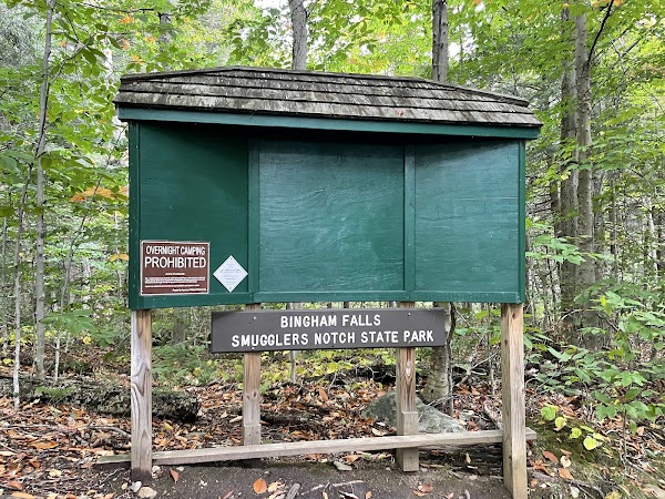 Bingham Falls 2