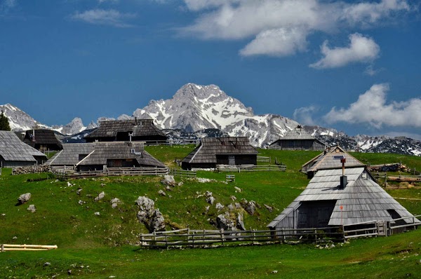 Slovenië 8