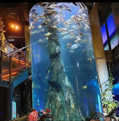 Aquaria KLCC 1