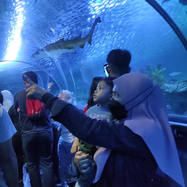 Aquaria KLCC 4