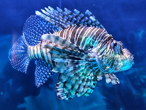 Aquaria KLCC 3
