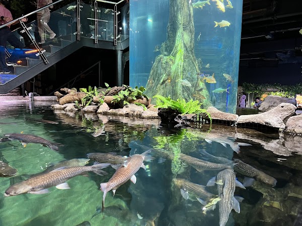 Aquaria KLCC 2