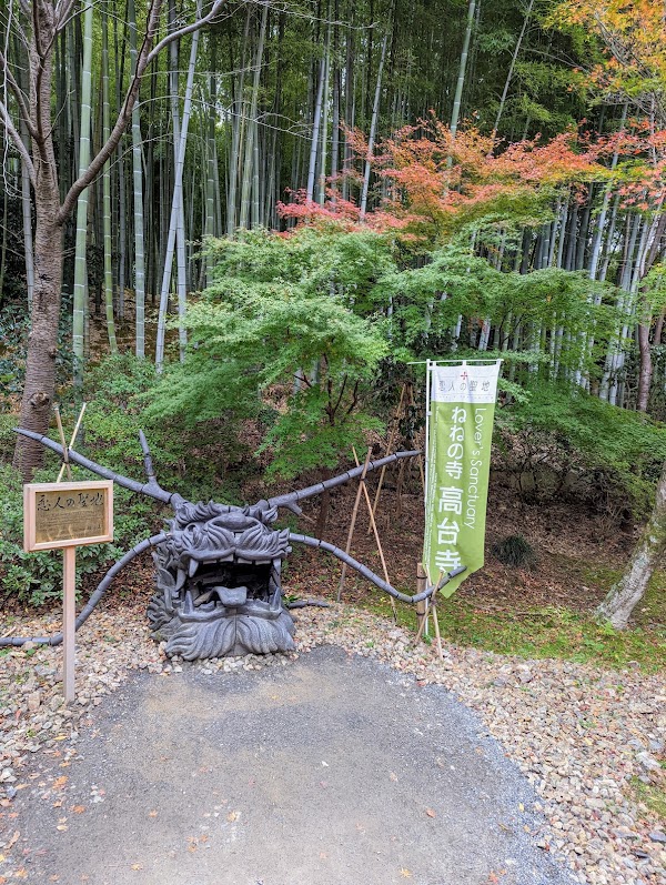 Kōdai-ji Temple Bamboo Forest 3