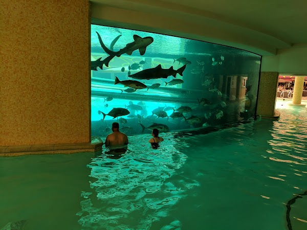 Golden Nugget Las Vegas Hotel & Casino 4