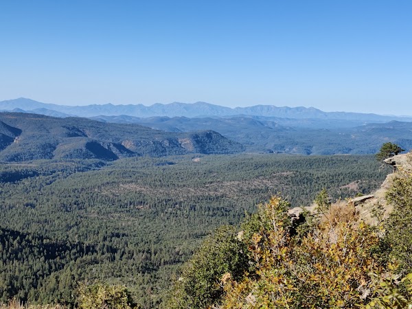 Apache-Sitgreaves National Forests