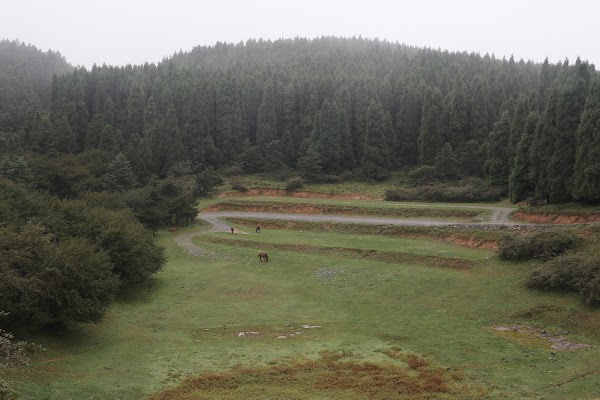 Xiannvshan National Forest Park 5