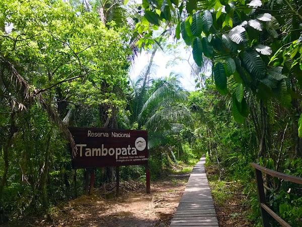 Reserva Nacional Tambopata 4